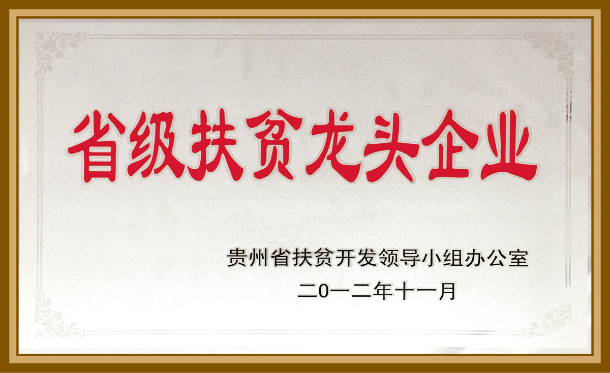 省級扶貧龍頭企業2012.11