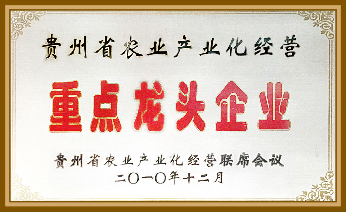 貴州省農業產業化經營重點企業2010.12